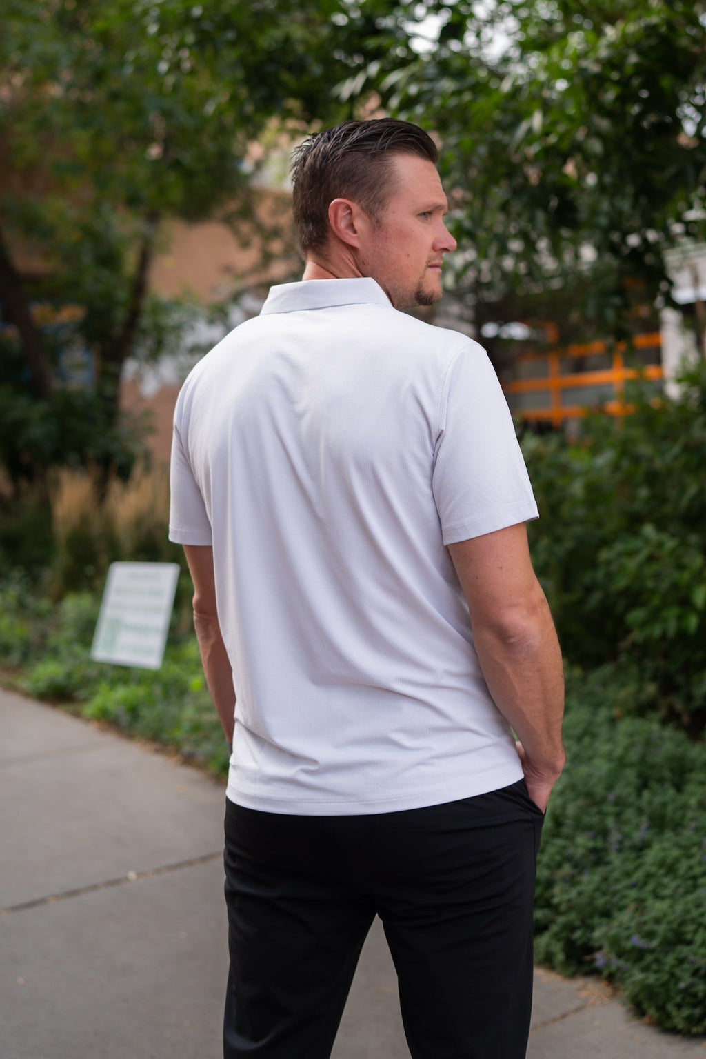 momentum polo